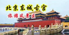小骚逼视频网站中国北京-东城古宫旅游风景区